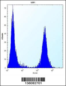 Anti-TGFBI Rabbit Polyclonal Antibody (FITC (Fluorescein Isothiocyanate))