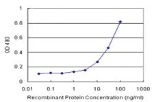 Anti-PECAM1 Polyclonal Antibody Pair