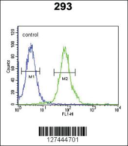 Anti-RTKN2 Rabbit Polyclonal Antibody