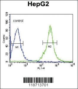 Anti-ARHGDIB Rabbit Polyclonal Antibody