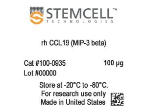 Human recombinant CCL19 (MIP-3 beta)