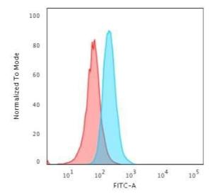 Antibody anti-CD34 HPCA12598R BSA 100 µg