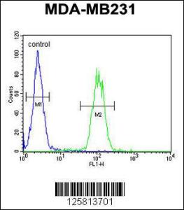 Anti-AP1S1 Rabbit Polyclonal Antibody (AP (Alkaline Phosphatase))