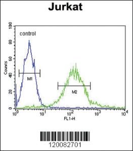 Anti-GPRASP1 Rabbit Polyclonal Antibody