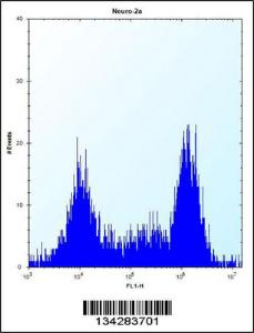 Anti-TGIF2 Rabbit Polyclonal Antibody (Biotin)