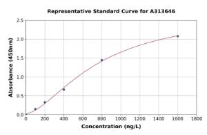 Representative standard curve for human Yes1 ELISA kit (A313646)