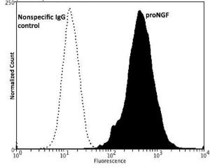 Flow Cytometry analysis of proNGF expressed in human prostate cancer DU145 cell line using cat # M-1738-100.