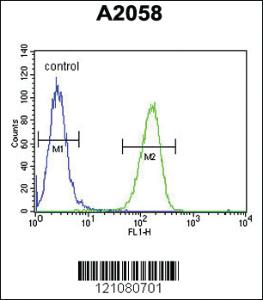 Anti-GSTO2 Rabbit Polyclonal Antibody