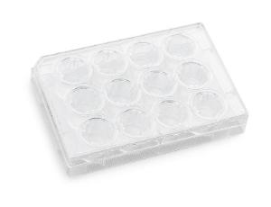 12 mm cellTREAT® 0.4 µm Polyethylene Membrane Inserts