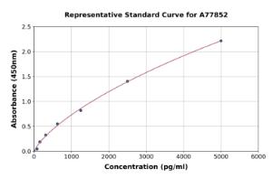 Representative standard curve for Human CD80 ELISA kit (A77852)