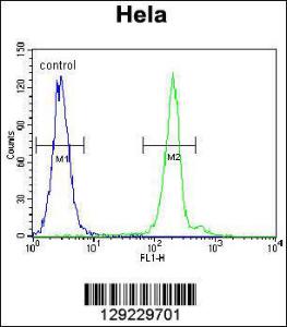 Anti-ATG7 Rabbit Polyclonal Antibody (Biotin)