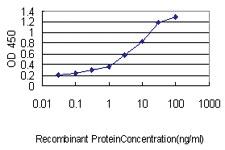 Anti-WFDC2 Mouse Monoclonal Antibody [clone: 3F9]