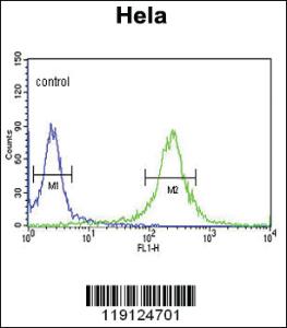 Anti-MBD3 Rabbit Polyclonal Antibody