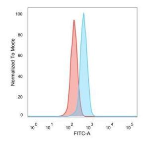 Flow cytometric analysis of PFA fixed HeLa cells using Anti-ZBTB7C Antibody [PCRP-ZBTB7C-4E12] followed by Goat Anti-Mouse IgG (CF&#174; 488) (Blue). Isotype Control (Red)