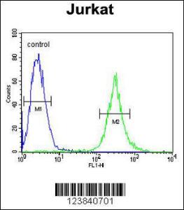 Anti-APITD1 Rabbit Polyclonal Antibody