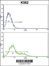 Anti-INPP4B Rabbit Polyclonal Antibody