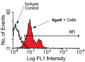 Anti-ITGA4 Rat Monoclonal Antibody (PE (Phycoerythrin)) [clone: PS/2]