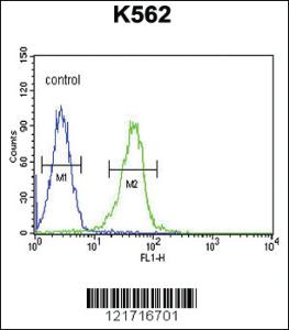 Anti-ELAVL2 Rabbit Polyclonal Antibody