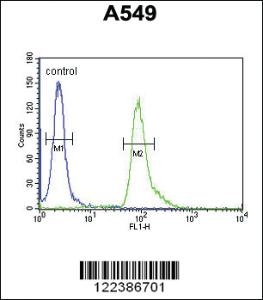 Anti-ABHD12 Rabbit Polyclonal Antibody