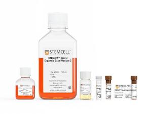 STEMdiff™ Midbrain Organoid Differentiation kit