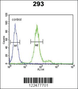 Anti-ADAMTS18 Rabbit Polyclonal Antibody