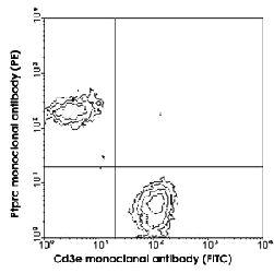 Anti-CD3E Rat Monoclonal Antibody (FITC (Fluorescein isothiocyanate)) [clone: C363.29B]