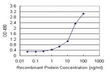 Anti-DNAJA4 Polyclonal Antibody Pair