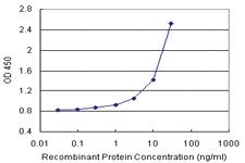 Anti-S100 A8 Polyclonal Antibody Pair