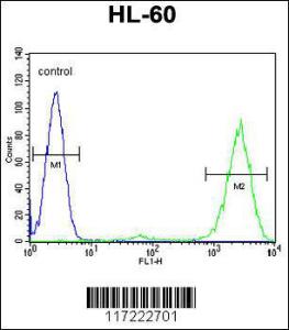 Anti-PTMA Rabbit Polyclonal Antibody (APC (Allophycocyanin))