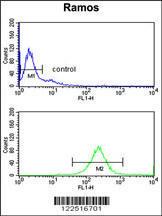 Anti-C7 Rabbit Polyclonal Antibody (APC (Allophycocyanin))