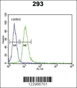 Anti-AIFM1 Rabbit Polyclonal Antibody