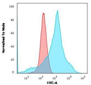 Flow cytometric analysis of K562 cells using Anti-LMO2 Antibody [LMO2/1971] followed by Goat Anti-Mouse IgG (CFand#174; 488) (Blue). Isotype Control (Red)