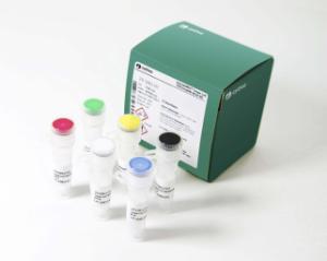 illustra single cell GenomiPhi DNA amplification kit