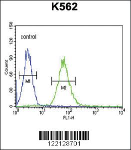 Anti-ADCY10 Rabbit Polyclonal Antibody