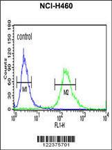 Anti-ALG14 Rabbit Polyclonal Antibody (APC (Allophycocyanin))