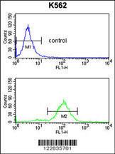 Anti-APOBEC3F Rabbit Polyclonal Antibody (FITC (Fluorescein Isothiocyanate))