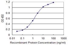 Anti-IFITM3 Mouse Monoclonal Antibody [clone: 2H4-1D5]