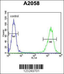 Anti-PTMS Rabbit Polyclonal Antibody (APC (Allophycocyanin))