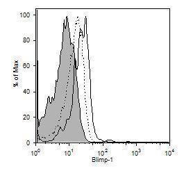 Anti-Oval Cell Marker Rat Monoclonal Antibody [clone: OC2-1C6]