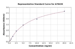 Representative standard curve for Rat HSF1 ELISA kit (A79439)