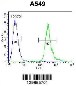 Anti-LRRC6 Rabbit Polyclonal Antibody (APC (Allophycocyanin))