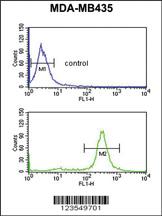 Anti-COL1A1 Rabbit Polyclonal Antibody