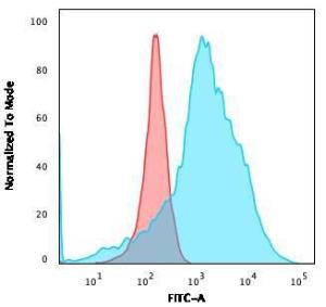 Anti-LMO2 Rabbit Recombinant Antibody [clone: LMO2/3147R]