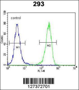 Anti-AQP11 Rabbit Polyclonal Antibody (AP (Alkaline Phosphatase))