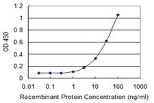 Anti-ADAM29 Mouse Monoclonal Antibody [clone: 3A6]