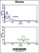 Anti-NUCKS1 Rabbit Polyclonal Antibody (Biotin)