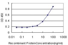 Anti-DNAJB5 Mouse Monoclonal Antibody [clone: 1C3]