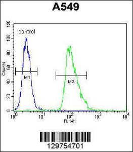 Anti-AQP12B Rabbit Polyclonal Antibody (APC (Allophycocyanin))