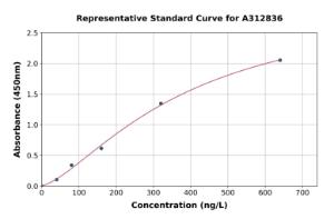 Representative standard curve for Mouse CIRP ELISA kit (A312836)