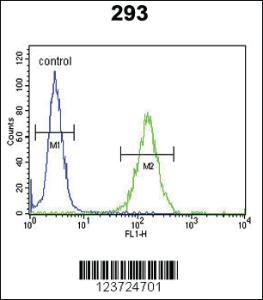 Anti-MYL3 Rabbit Polyclonal Antibody